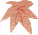 紅葉イメージ