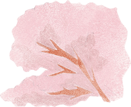 桜の木イメージ