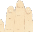 爪のイメージ