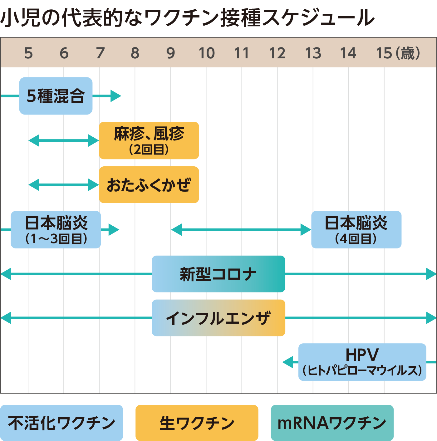 小児の代表的なワクチン接種スケジュール
