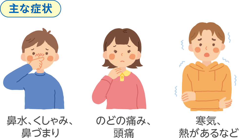 主な症状 鼻水、くしゃみ、鼻づまり　のどの痛み、頭痛　寒気、熱があるなど