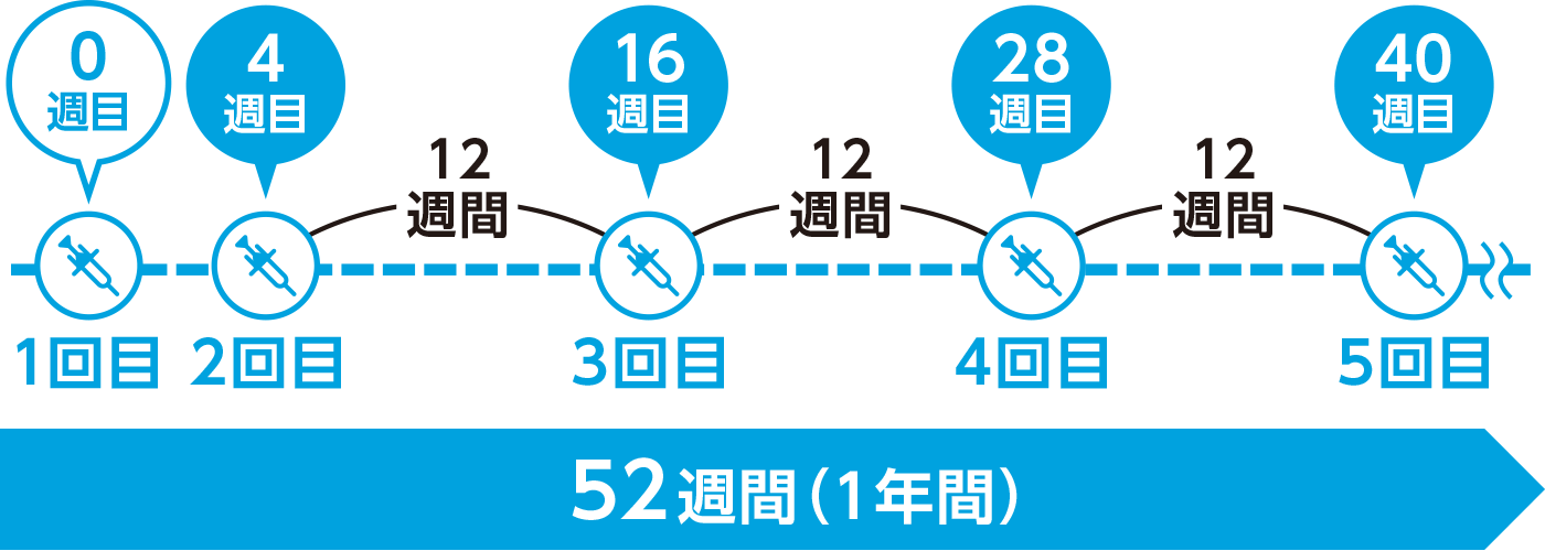 注射のタイミング 1回目 0週目 2回目 4週目 3回目 16週目 4回目 28週目 5回目 40週目 52週間(1年間)
